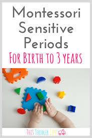 Sensitive Periods